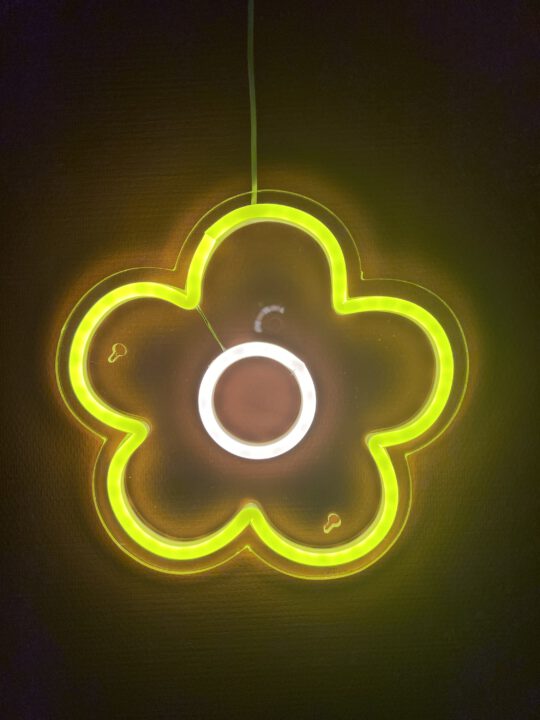 Neon light flower